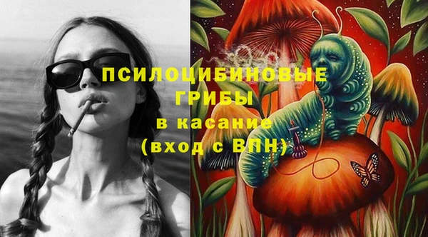 гидра Дмитров