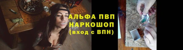 гидра Дмитров