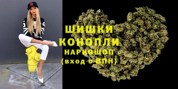 гидра Дмитров