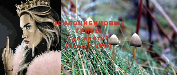 герыч Дмитриев