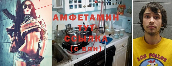 гидра Дмитров