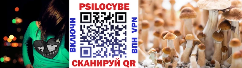 Купить закладки  Болхов  Псилоцибиновые грибы мухоморы 